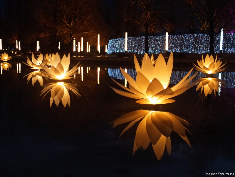 Вечерняя прогулка по парку.