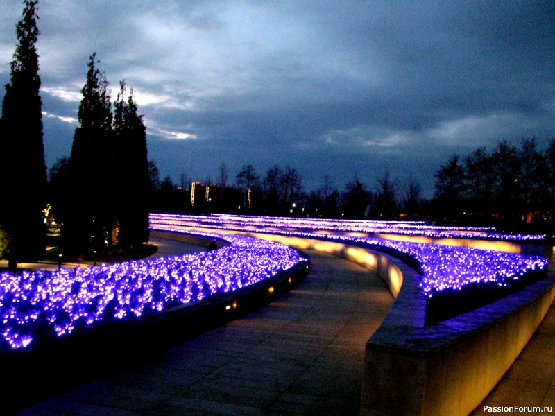 Вечерняя прогулка по парку.
