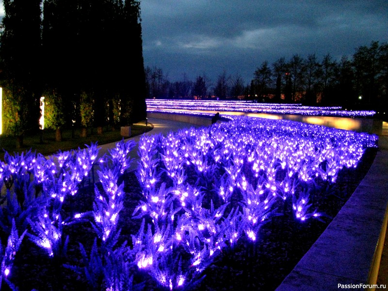 Вечерняя прогулка по парку.