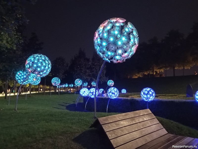 Вечерняя прогулка по парку.