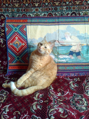 простите, я тоже хочу сфотографироваться на память, как мне хорошо с вами. простите, я тоже хочу сфотографироваться на память, как мне хорошо с вами.