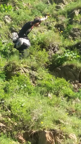 Прогулка в горах Прогулка в горах
