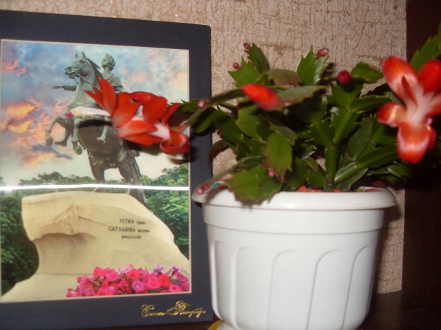 Лучше поздно,чем никогда. Лучше поздно,чем никогда.