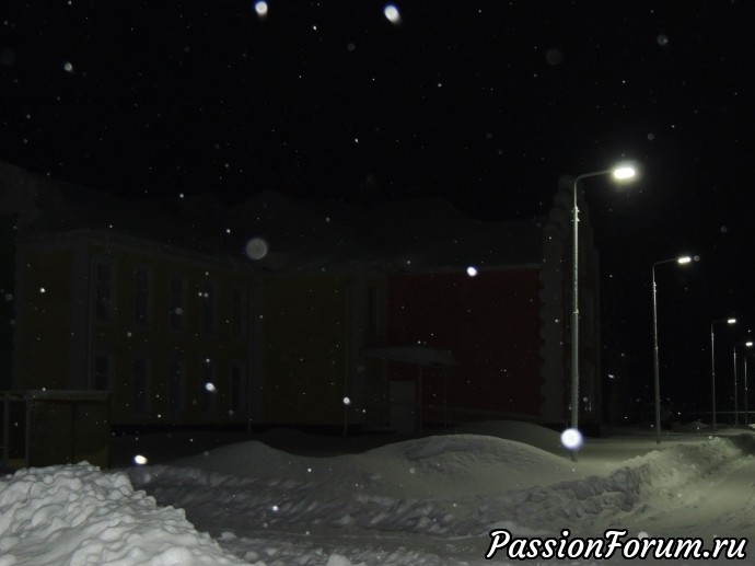 Ночь... Улица... и много снега...