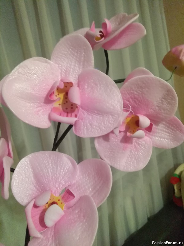 Проба пера) Орхидейки