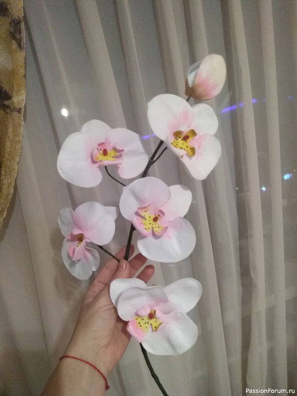 Проба пера) Орхидейки
