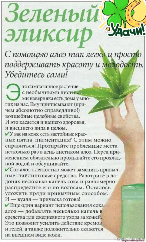 Зеленый эликсир для красоты