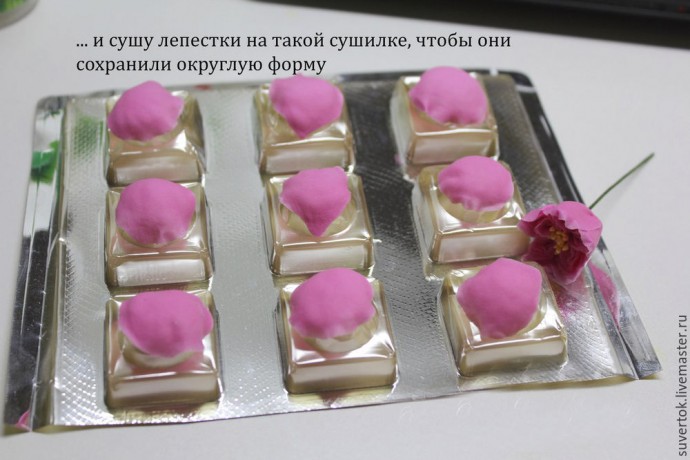 Английская роза из холодного фарфора