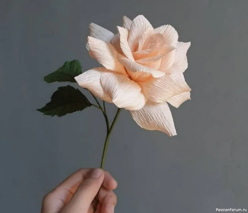 Розы из гофрированной бумаги своими руками: мастер-класс