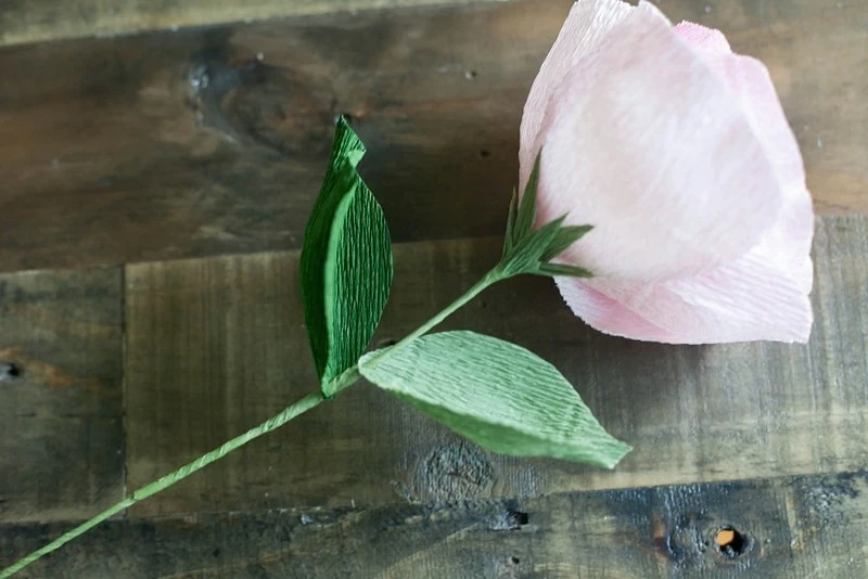 Розы из гофрированной бумаги своими руками: мастер-класс