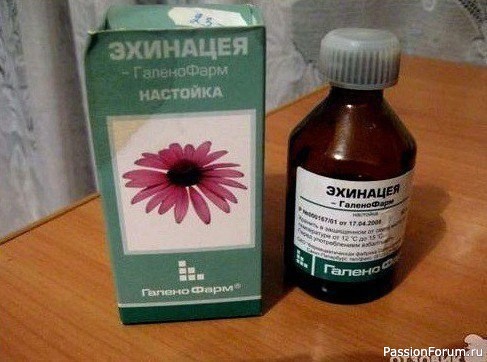 Настойка для чистки крови. Эхинацея Настойка для чистки крови. Эхинацея