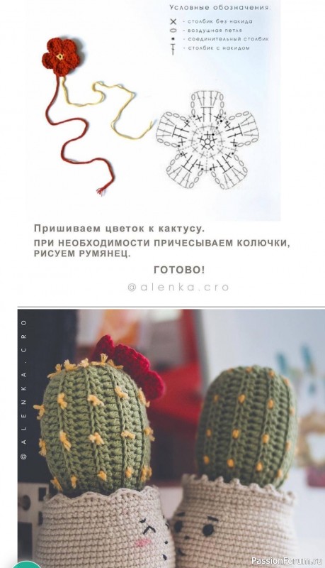 Кактусы с выразительными лицами крючком МК