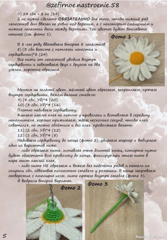 Ромашка крючком. Описание