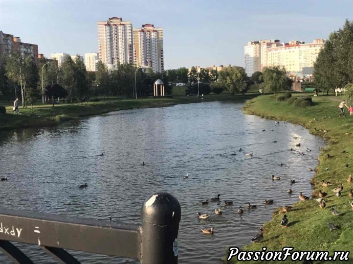 Беларусь. Беларусь.