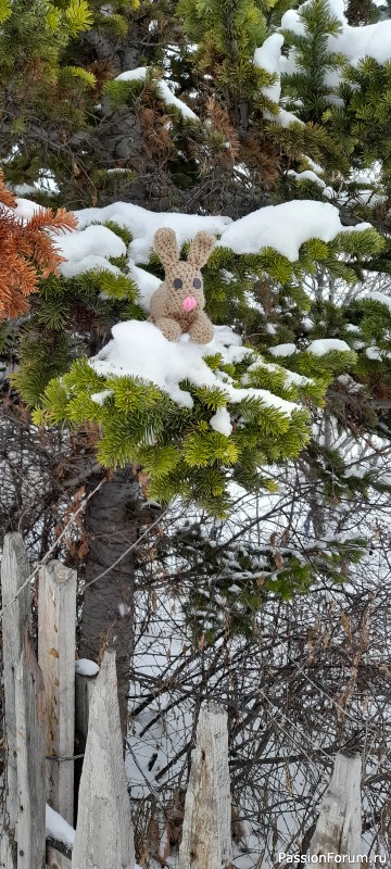 Новогодний кролик