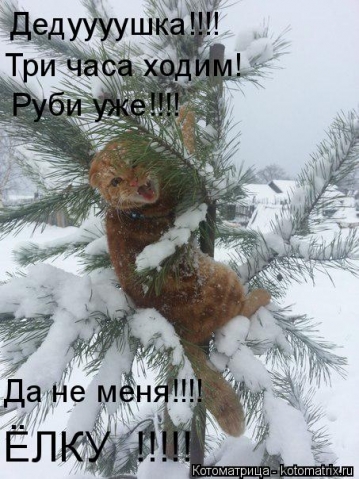 Тренируюсь на кошках.