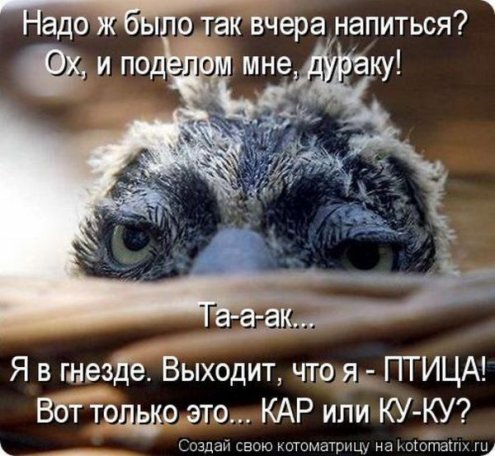 Тренировки проходят удачно) часть третья