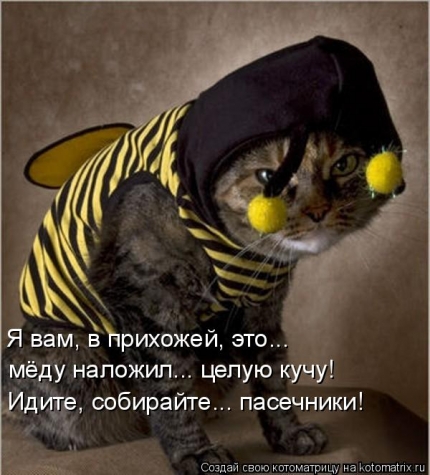 Тренировки проходят удачно) часть третья
