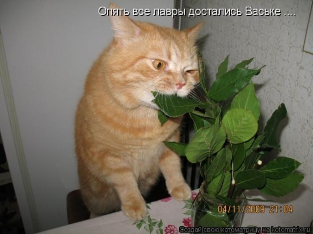 Тренировки проходят удачно) часть третья