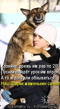 И опять коты...