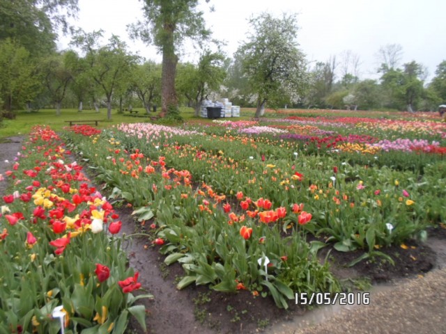 WEEKEND В ЛИТВЕ-день ВТОРОЙ WEEKEND В ЛИТВЕ-день ВТОРОЙ