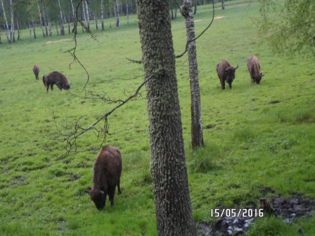 WEEKEND В ЛИТВЕ-день ВТОРОЙ