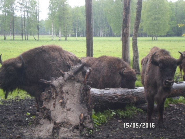 WEEKEND В ЛИТВЕ-день ВТОРОЙ