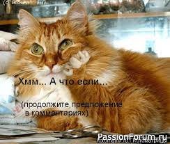 Без кота и жизнь не та!