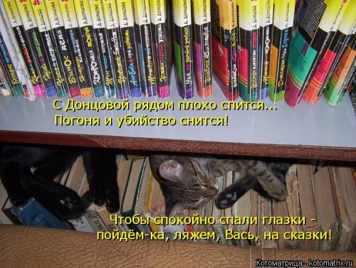 Смешные котоматрицы. Новые прикольные картинки про кошек