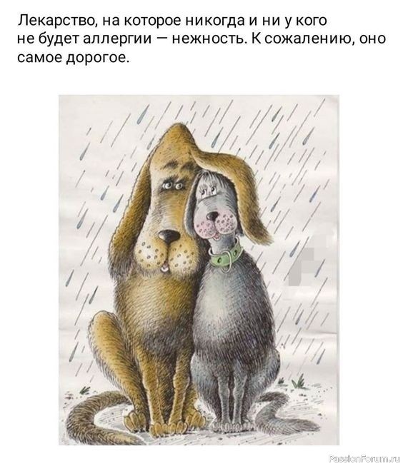 МЫСЛИ,,, РАЗНЫЕ.. МЫСЛИ,,, РАЗНЫЕ..