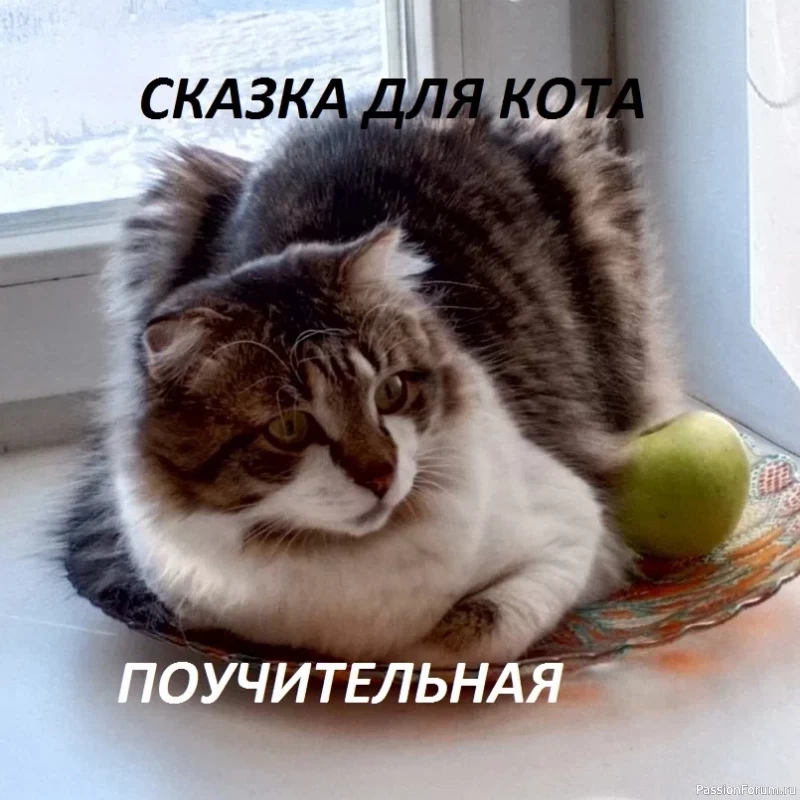 И снова о Котах, и о ХОЗЯЙКАХ....