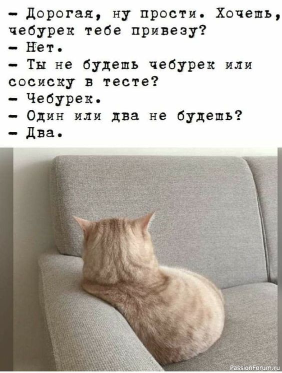 Один день и одна ночь из жизни неугомонного кота.