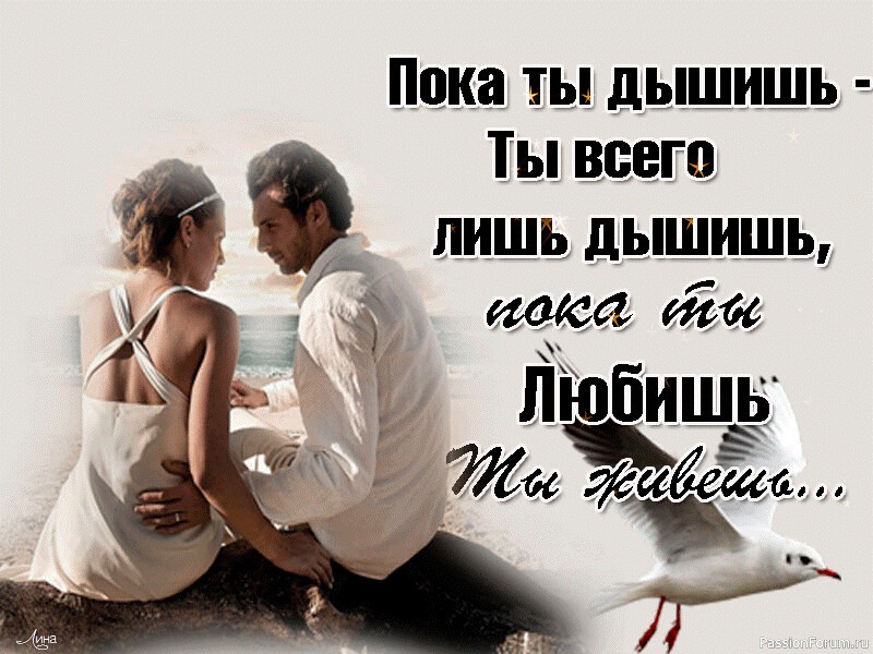 МЫСЛИ,,, РАЗНЫЕ.. МЫСЛИ,,, РАЗНЫЕ..