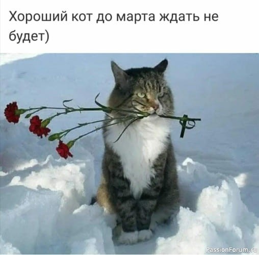 Эх, напрасно я пришёл