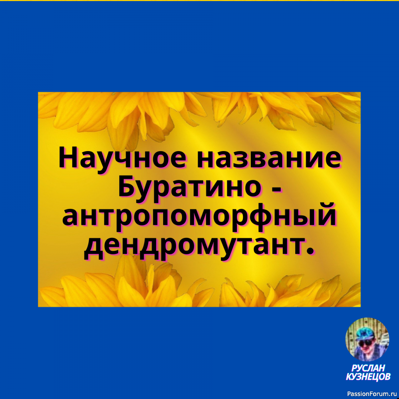 Когда душа просит праздника&hellip; &hellip;кошелек просит пощады!