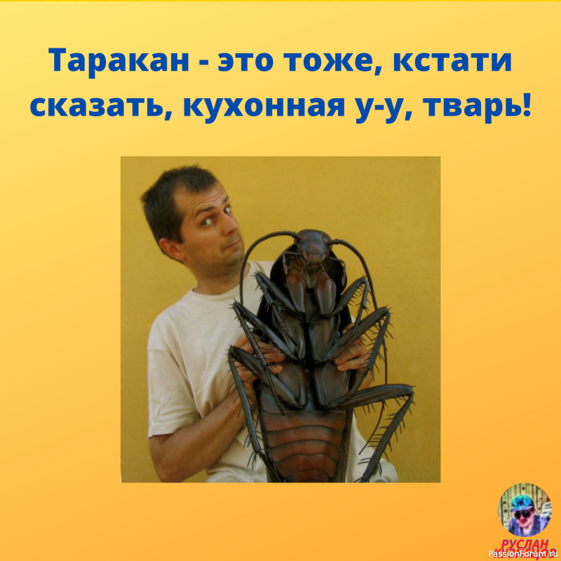 Смеёмся вместе!!! Для Вас мои друзья!!! Свежий юмор!!!