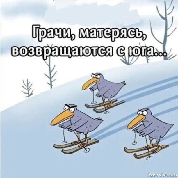 И ещё немного юмора...