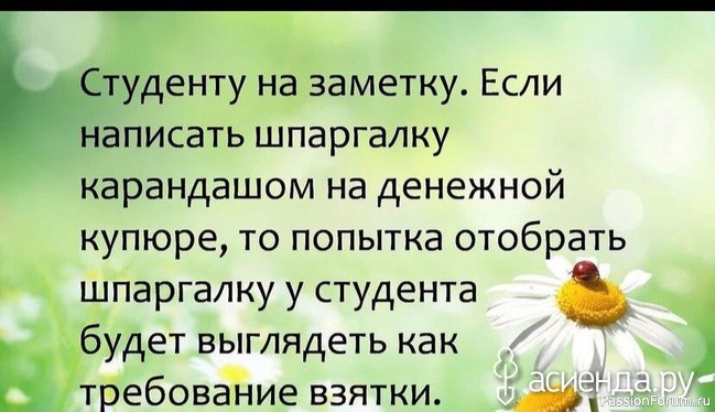 Вокруг смеха