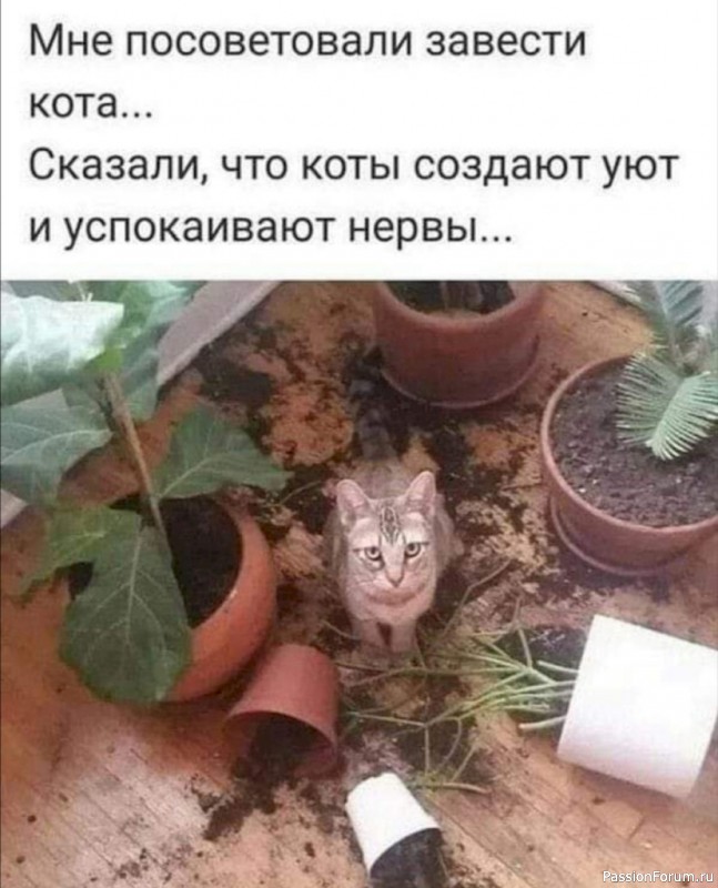 Вокруг смеха (в картинках)....
