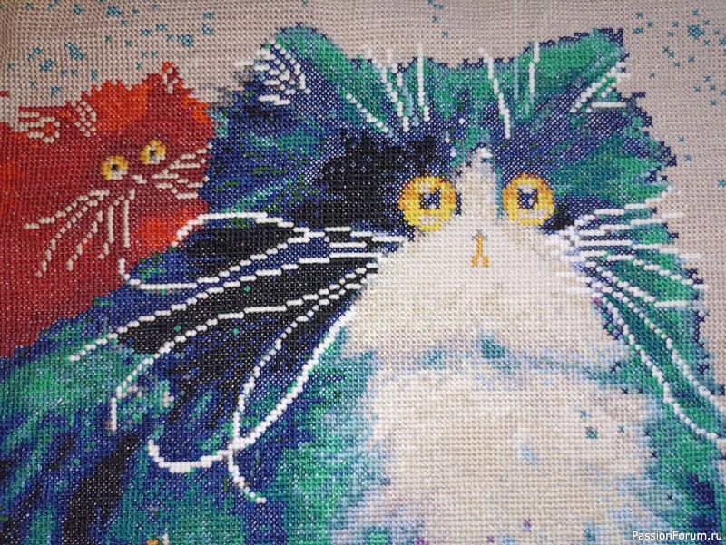 Вышивка КОТЫ
