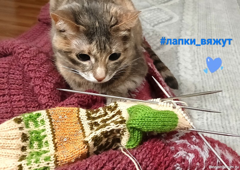 Носочки под Новогоднюю ëлочку