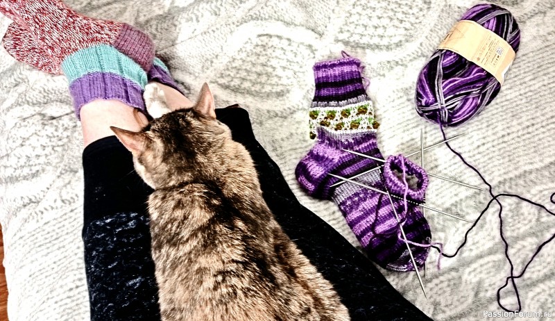 Носочки под Новогоднюю ëлочку