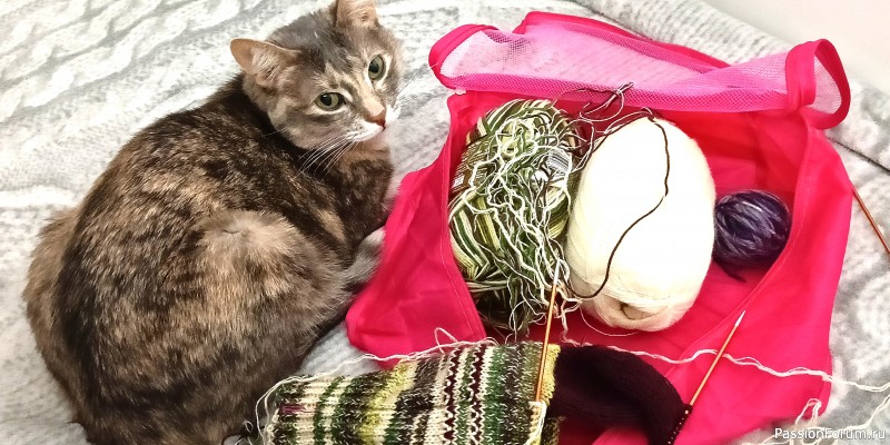 Носочки под Новогоднюю ëлочку