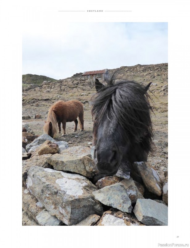 Вязаные проекты в книге «Shetland»