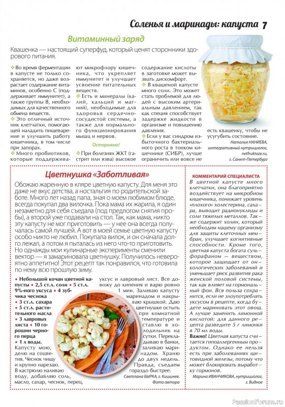 Коллекция кулинарных рецептов в журнале «Сваты. Заготовки №11 2024» Коллекция кулинарных рецептов в журнале «Сваты. Заготовки №11 2024»