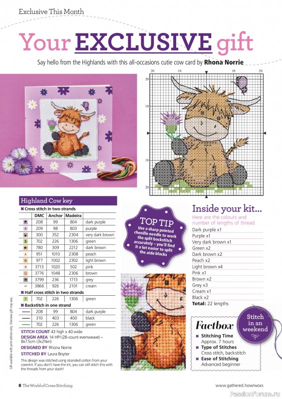 Коллекция вышивки в журнале «The World of Cross Stitching №367 2025»