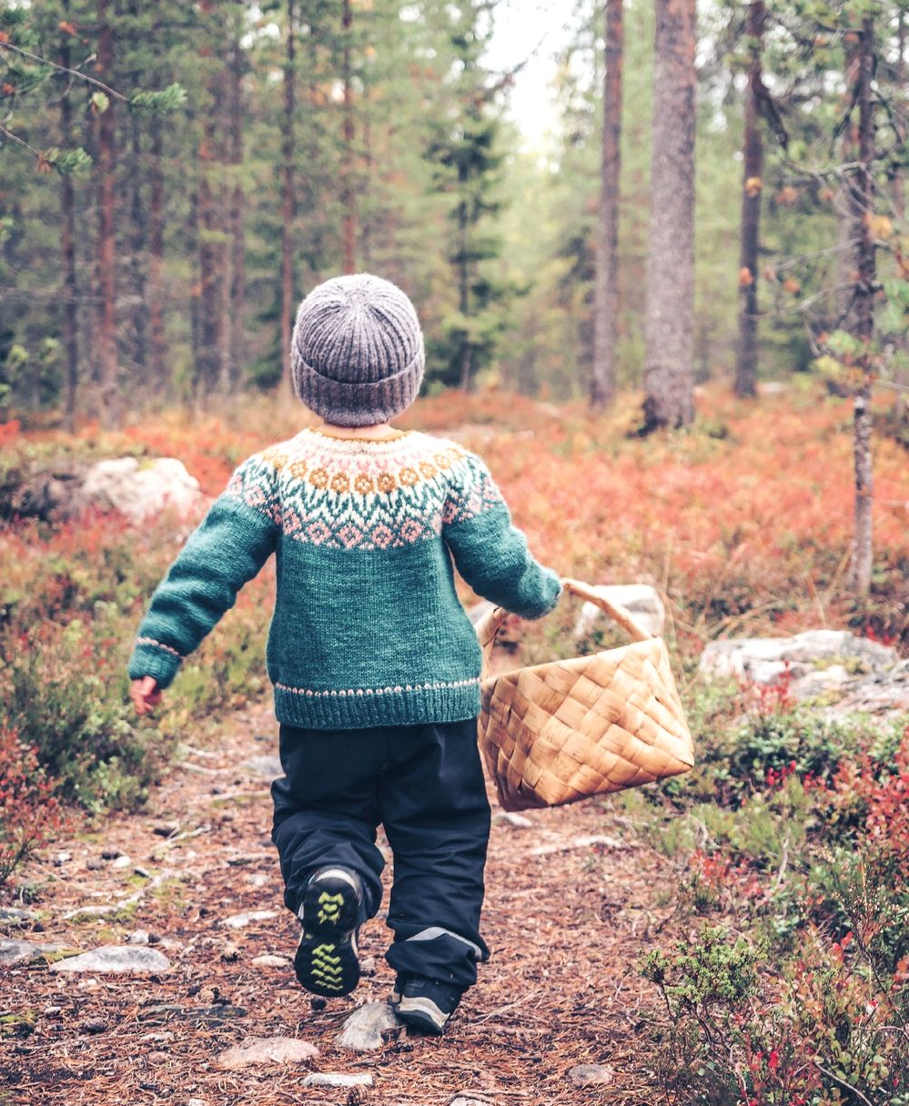 Коллекция вязаных моделей в книге «Icelandic Knits»
