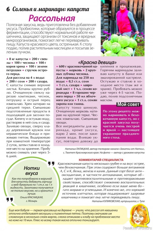 Коллекция кулинарных рецептов в журнале «Сваты. Заготовки №3 2025» Коллекция кулинарных рецептов в журнале «Сваты. Заготовки №3 2025»