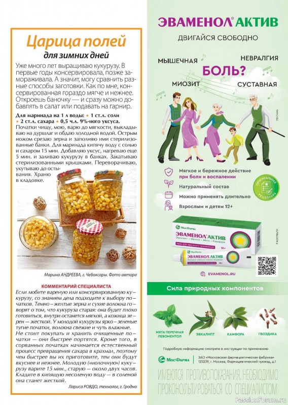 Коллекция кулинарных рецептов в журнале «Сваты. Заготовки №8 2024» Коллекция кулинарных рецептов в журнале «Сваты. Заготовки №8 2024»