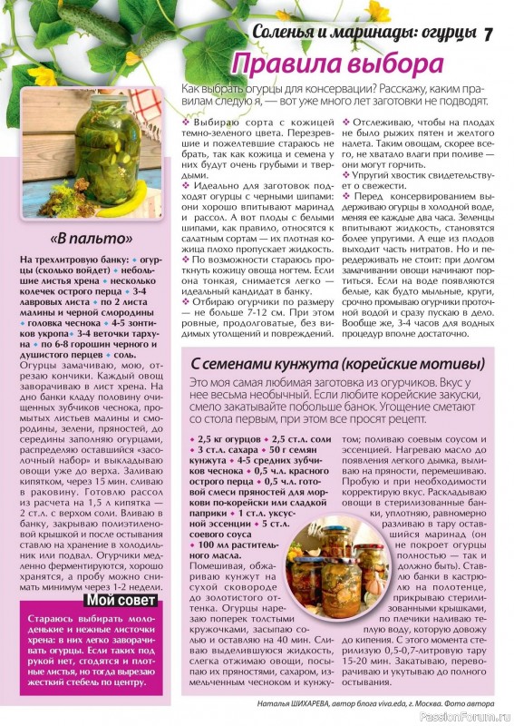 Коллекция кулинарных рецептов в журнале «Сваты. Заготовки №7 2024»